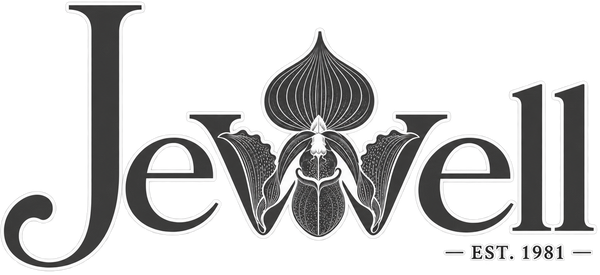 Jewell Orchids
